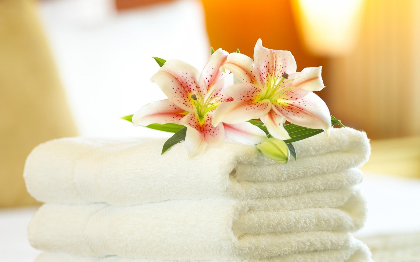 White Towel And Lily Flower